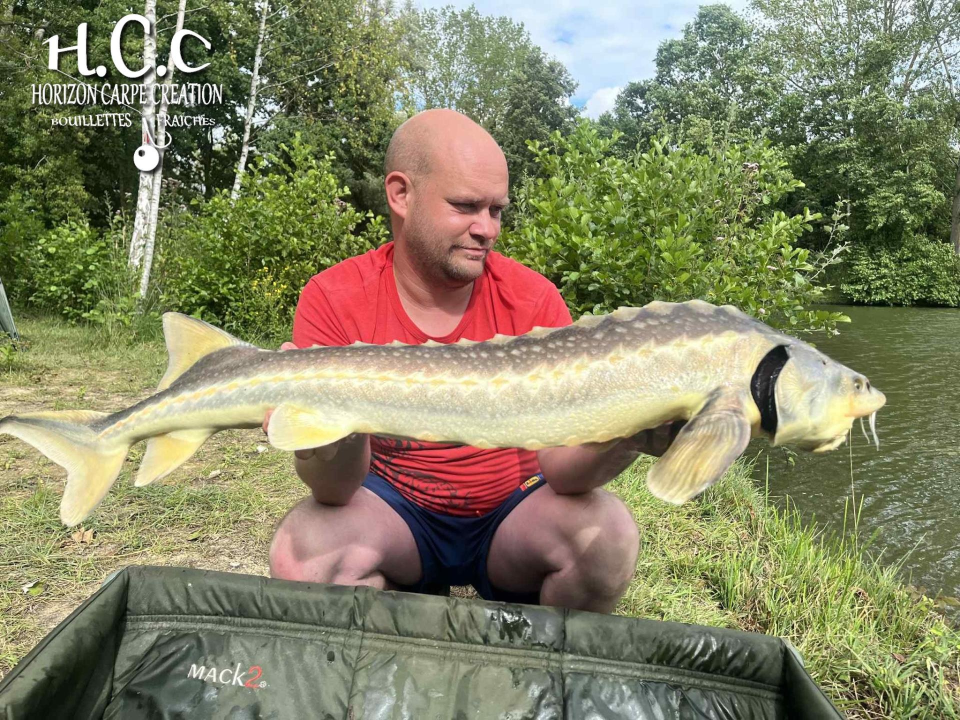 QUENTIN ZAMBELLI - TESTEUR HCC