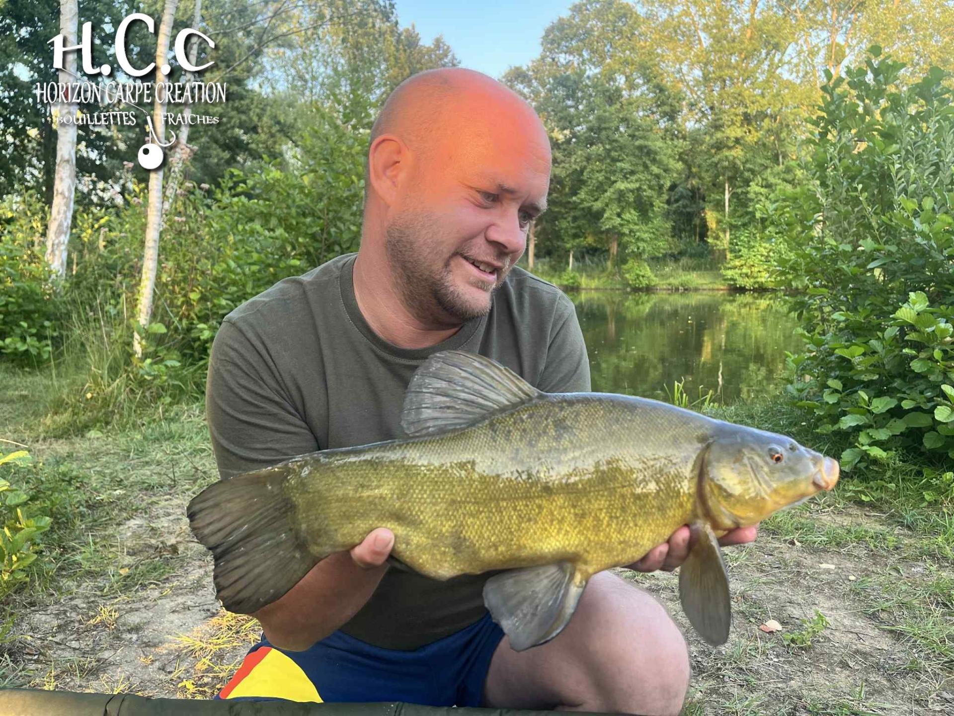 QUENTIN ZAMBELLI - TESTEUR HCC