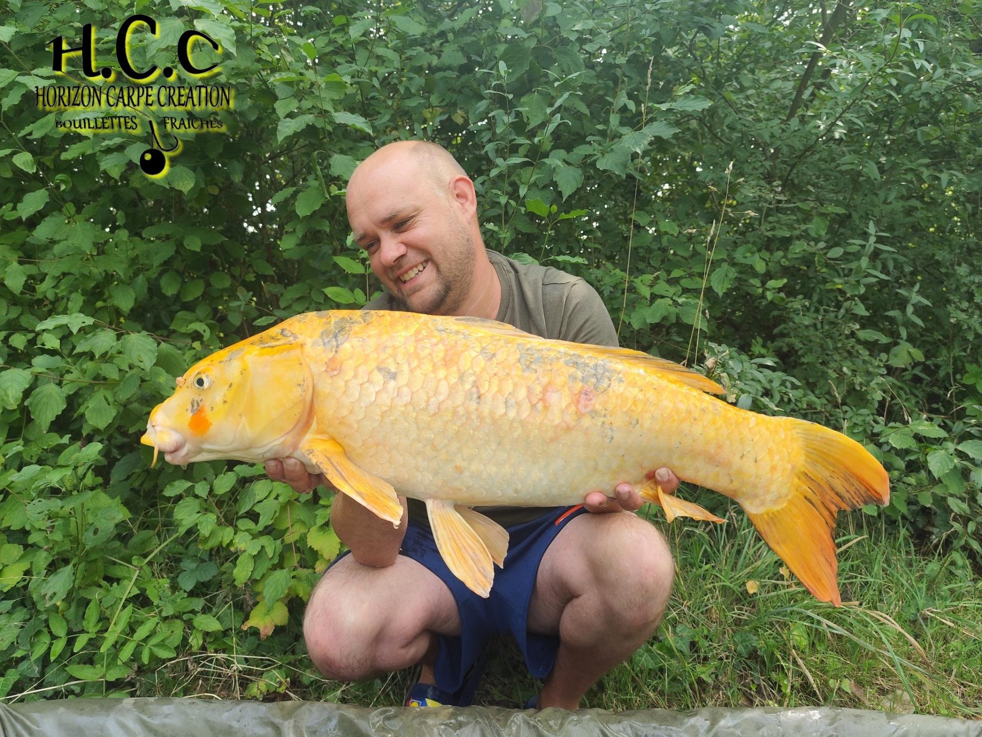 QUENTIN ZAMBELLI - TESTEUR HCC