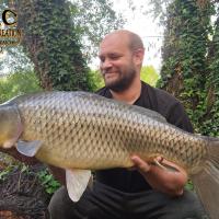 QUENTIN ZAMBELI - TESTEUR HCC