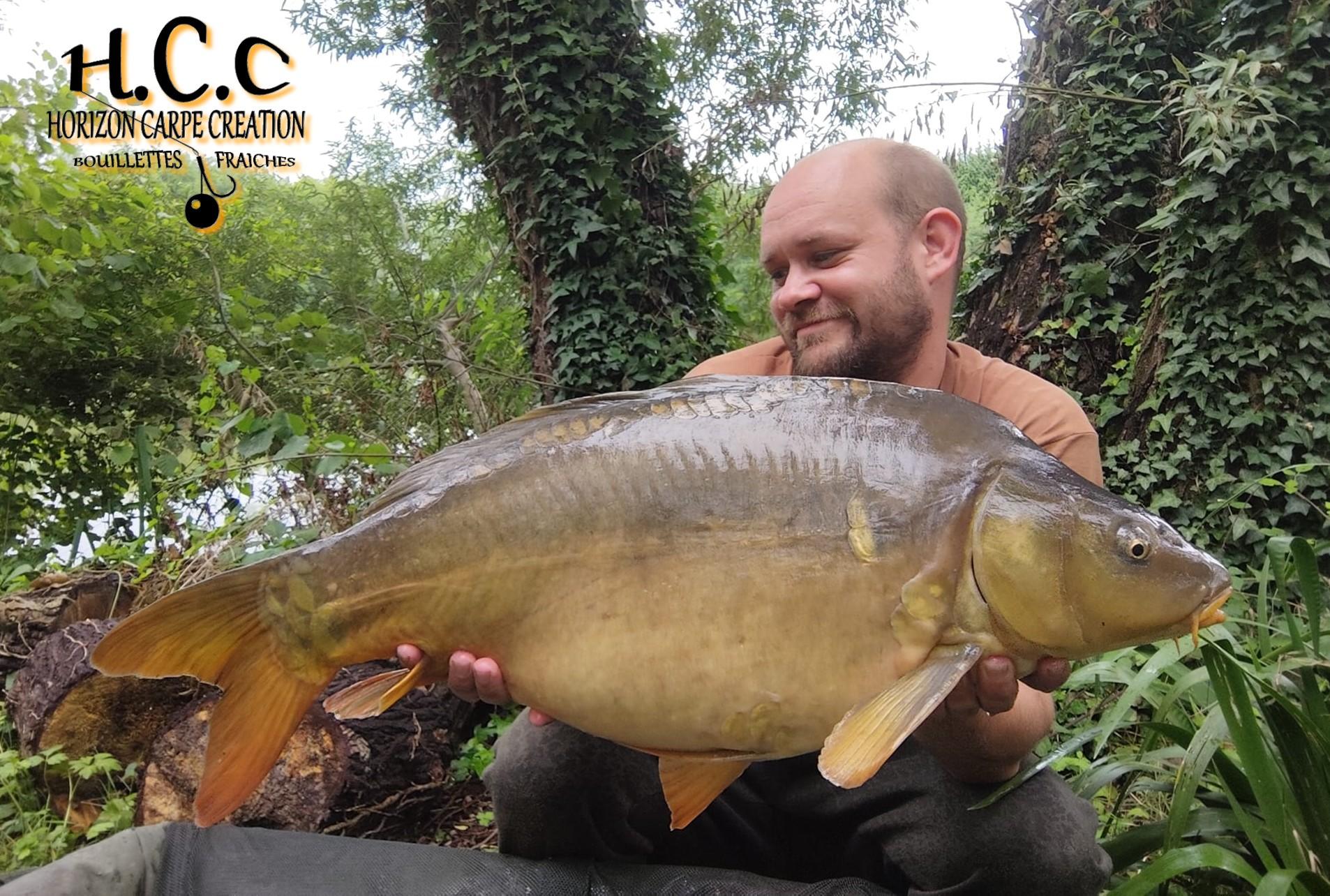 QUENTIN ZAMBELI - TESTEUR HCC