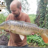 QUENTIN ZAMBELI - TESTEUR HCC