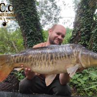 QUENTIN ZAMBELI - TESTEUR HCC