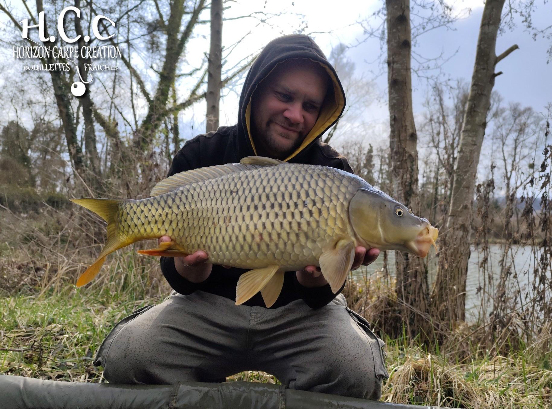 QUENTIN ZAMBELLI - TESTEUR HCC