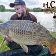 ROMAIN AGON - CONSULTANT HCC