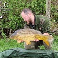 ROMAIN AGON - CONSULTANT HCC