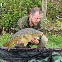 ROMAIN AGON - CONSULTANT HCC
