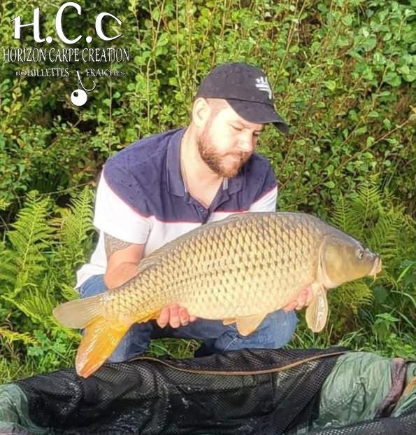 ROMAIN AGON - CONSULTANT HCC