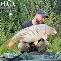 ROMAIN AGON - CONSULTANT HCC