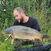 ROMAIN AGON - CONSULTANT HCC