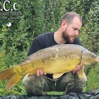 ROMAIN AGON - CONSULTANT HCC