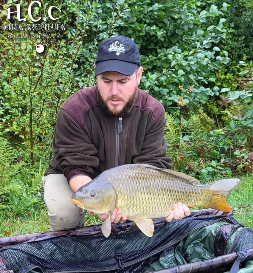 ROMAIN AGON - CONSULTANT HCC