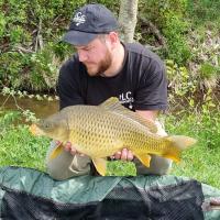 ROMAIN AGON - CONSULTANT HCC