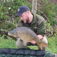 ROMAIN AGON - CONSULTANT HCC