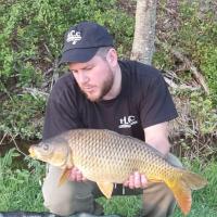 ROMAIN AGON - CONSULTANT HCC