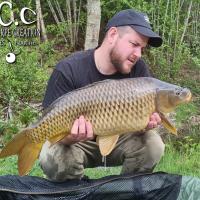 ROMAIN AGON - CONSULTANT HCC