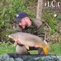ROMAIN AGON - CONSULTANT HCC