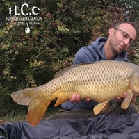 SAMUEL SOMON - CLIENT HCC