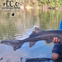 SAMUEL SOMON - CLIENT HCC
