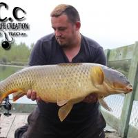 SYLVAIN - CLIENT HCC