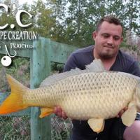 SYLVAIN - CLIENT HCC