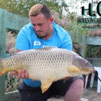 SYLVAIN - CLIENT HCC