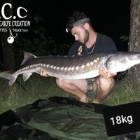 THIBAUT BOYE - CLIENT HCC