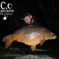THIBAUT BOYER - CLIENT HCC