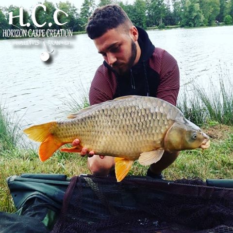 THIBAUT BOYER - CLIENT HCC