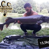 THIBAUT BOYE - CLIENT HCC