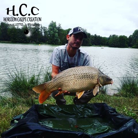 THIBAUT BOYER - CLIENT HCC