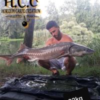 THIBAUT BOYE - CLIENT HCC