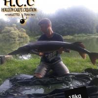 THIBAUT BOYE - CLIENT HCC