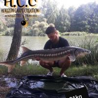 THIBAUT BOYE - CLIENT HCC