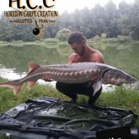 THIBAUT BOYE - CLIENT HCC