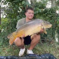 EVAN GUILLEMIN - CLIENT HCC