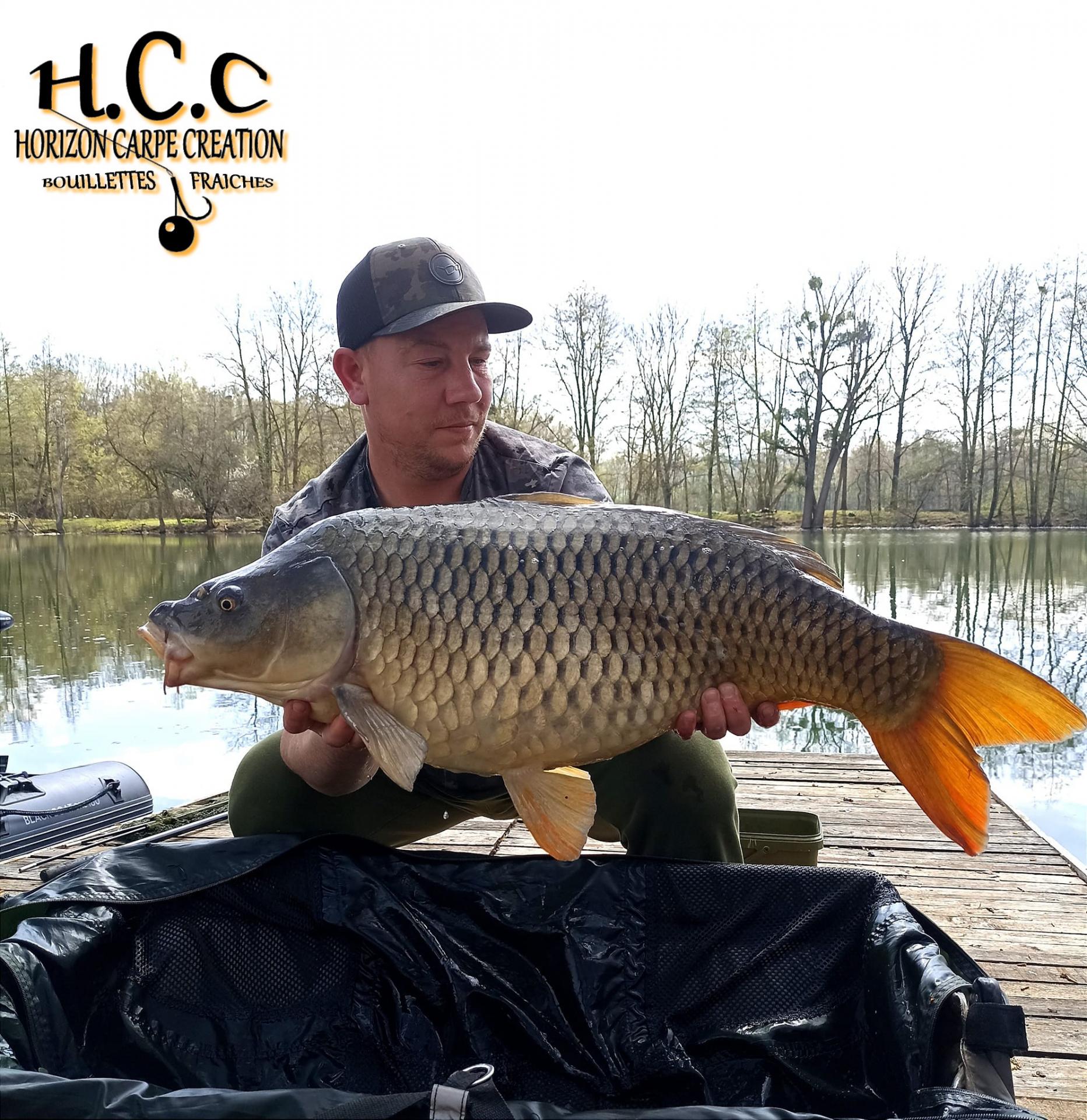 YOANN PELLETIER - CONSULTANT HCC